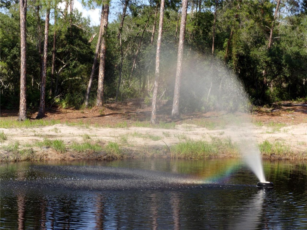 Deep Woods Road, Paisley, FL 32767 Photo