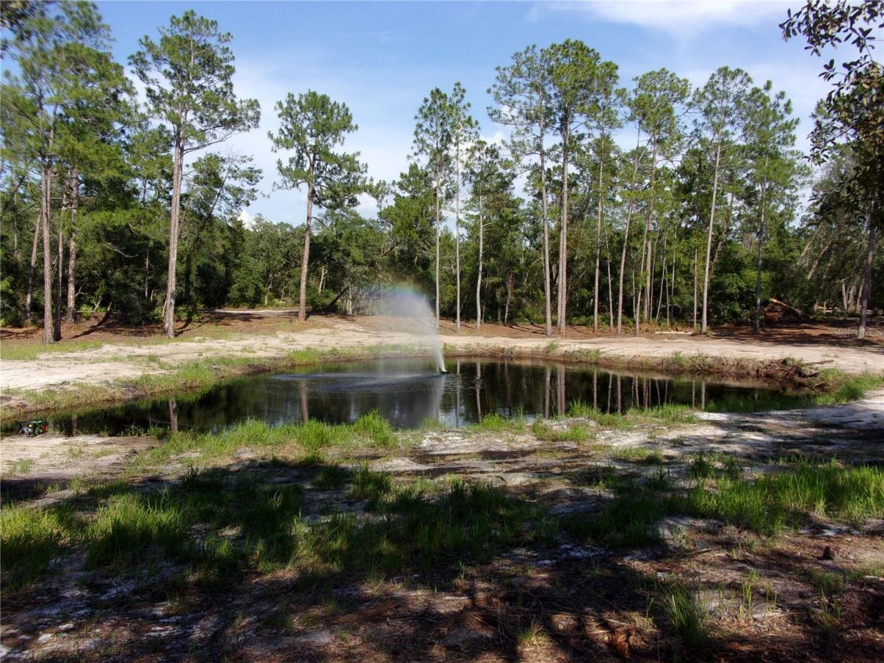 Deep Woods Road, Paisley, FL 32767 Photo