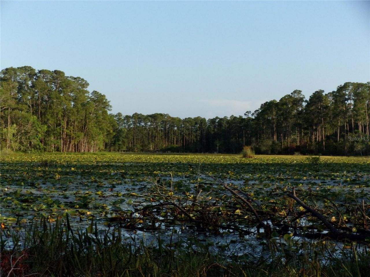 Deep Woods Road, Paisley, FL 32767 Photo