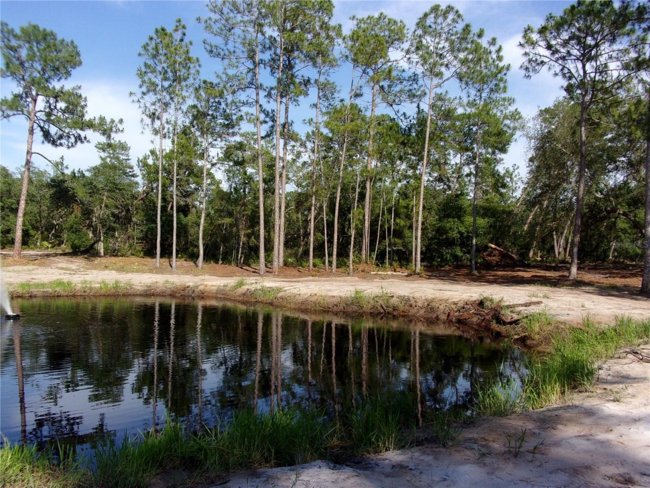 Deep Woods Road, Paisley, FL 32767 Photo