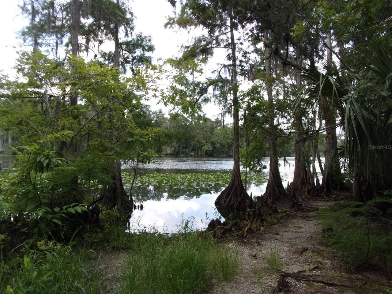 Deep Woods Road, Paisley, FL 32767 Photo