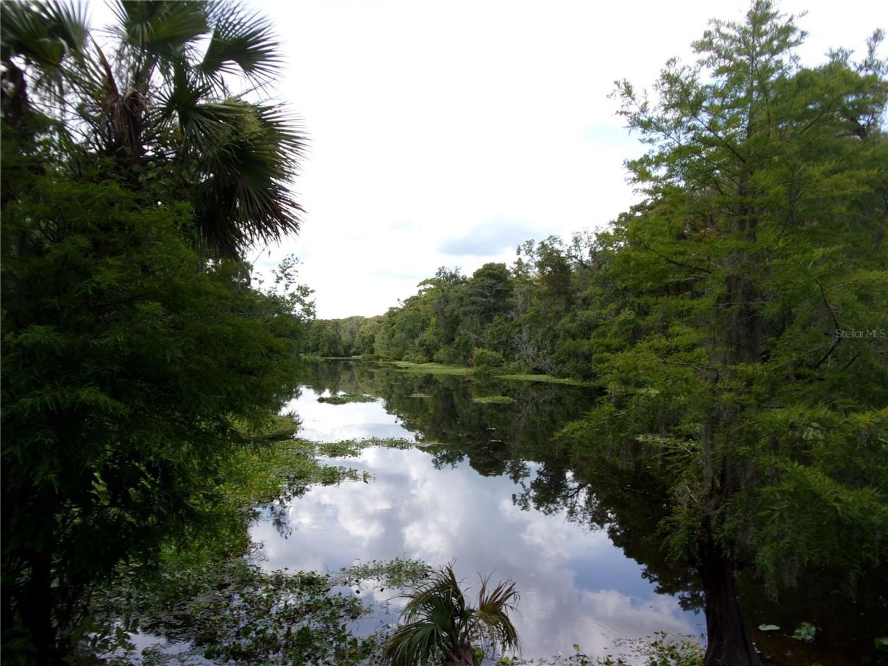 Deep Woods Road, Paisley, FL 32767 Photo