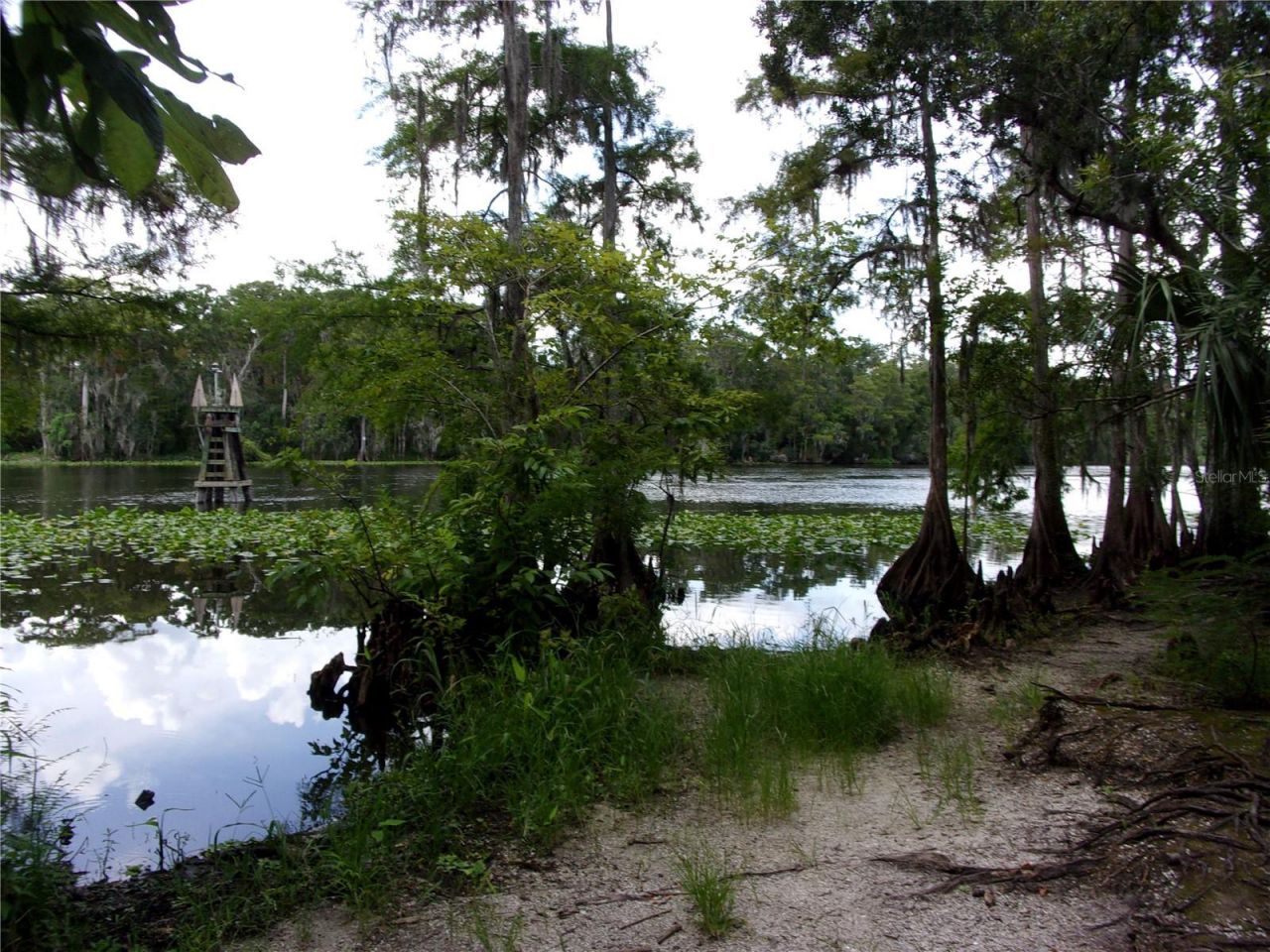 Deep Woods Road, Paisley, FL 32767 Photo