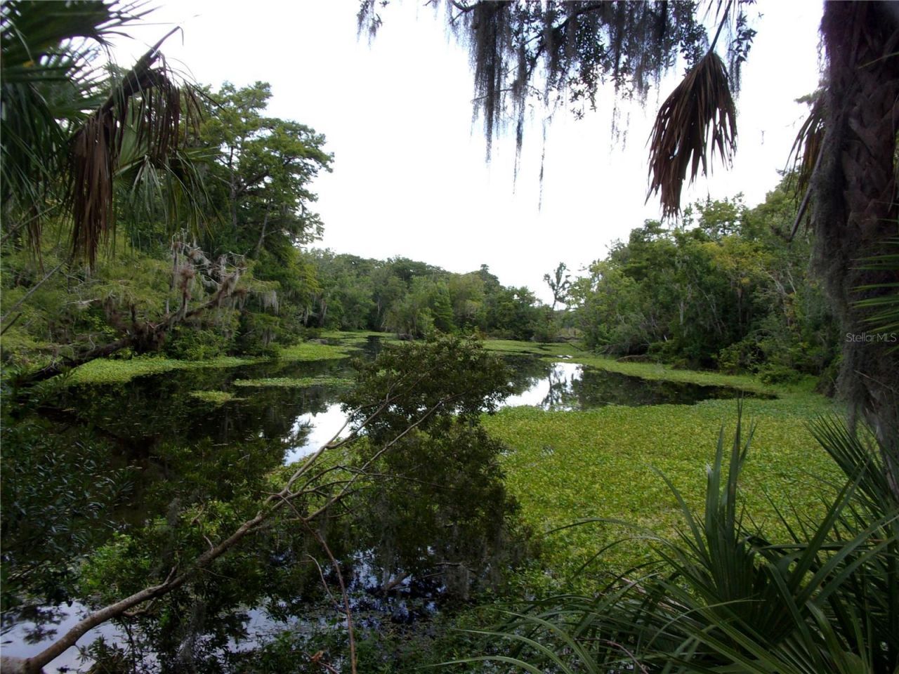 Deep Woods Road, Paisley, FL 32767 Photo