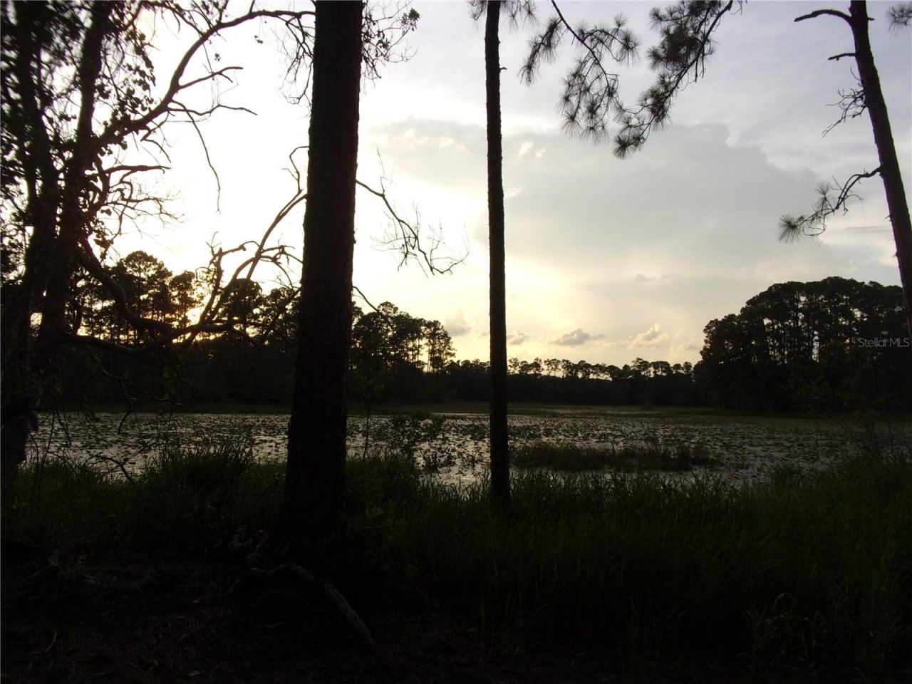 Deep Woods Road, Paisley, FL 32767 Photo