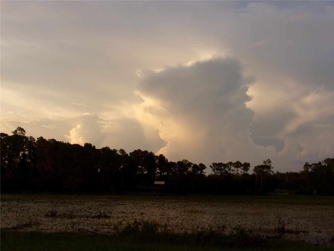 Deep Woods Road, Paisley, FL 32767 Photo