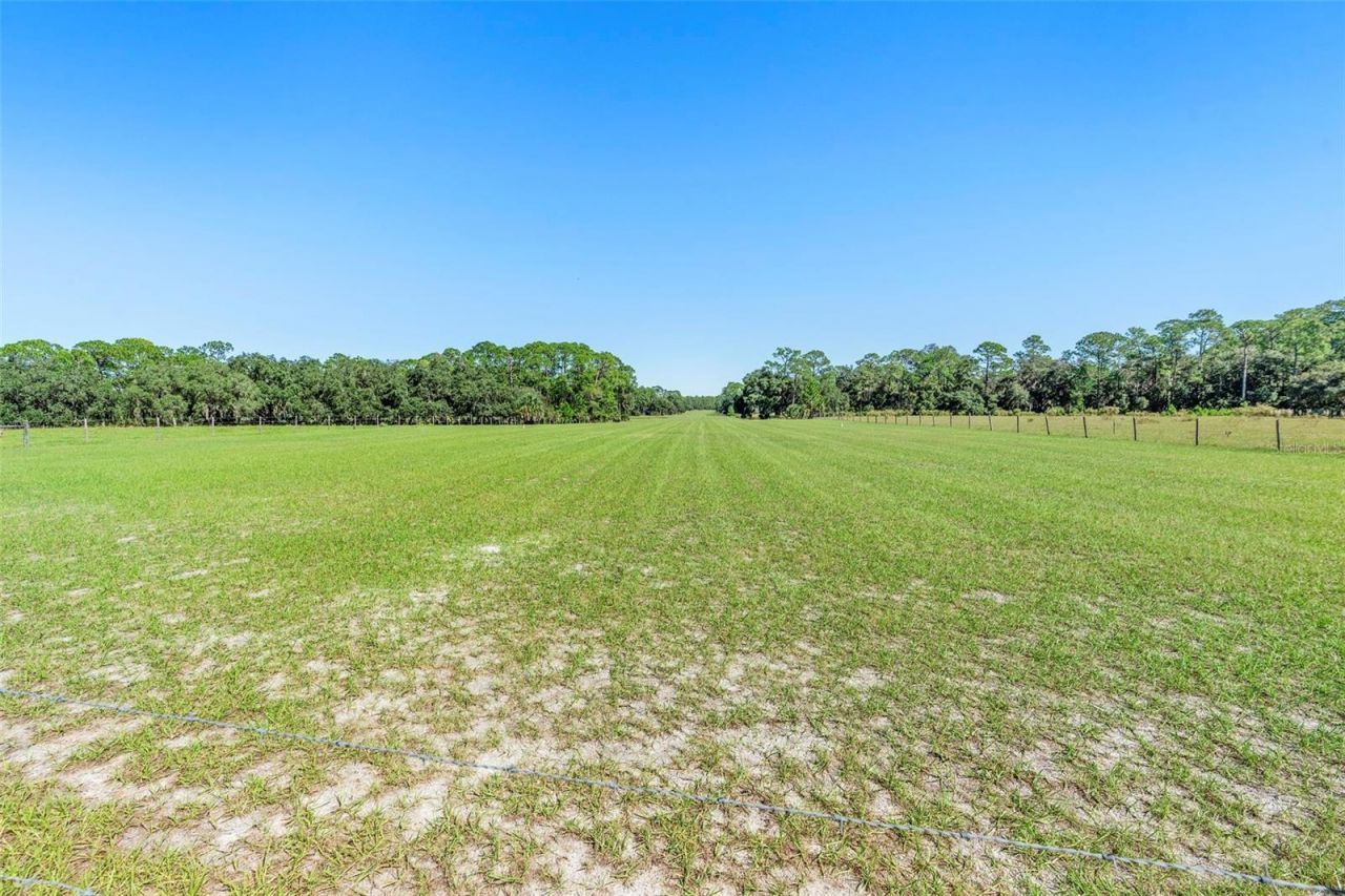 Deep Woods Road, Paisley, FL 32767 Photo