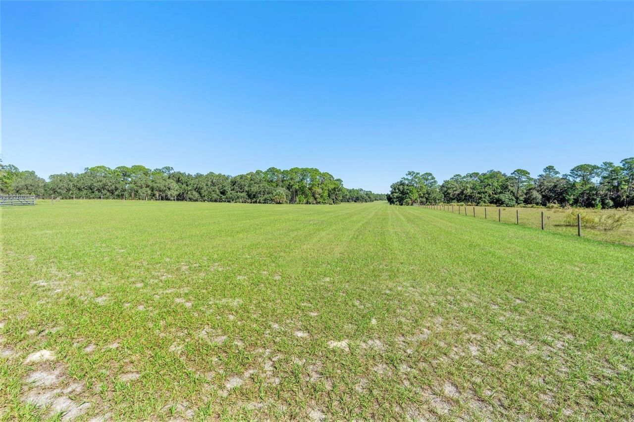 Deep Woods Road, Paisley, FL 32767 Photo