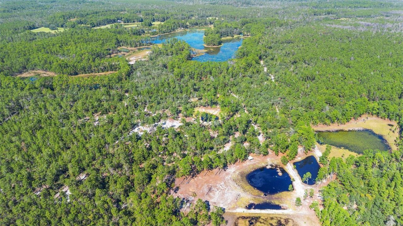 Deep Woods Road, Paisley, FL 32767 Photo