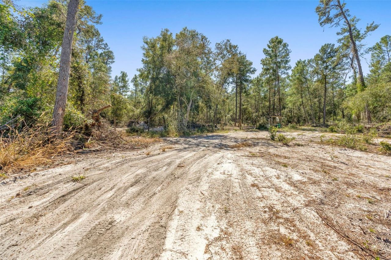 Deep Woods Road, Paisley, FL 32767 Photo