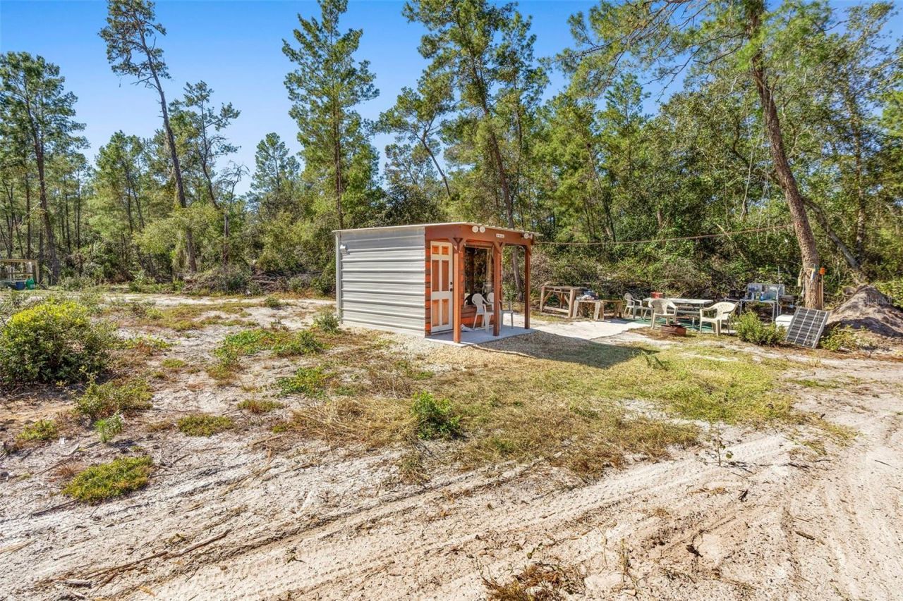 Deep Woods Road, Paisley, FL 32767 Photo