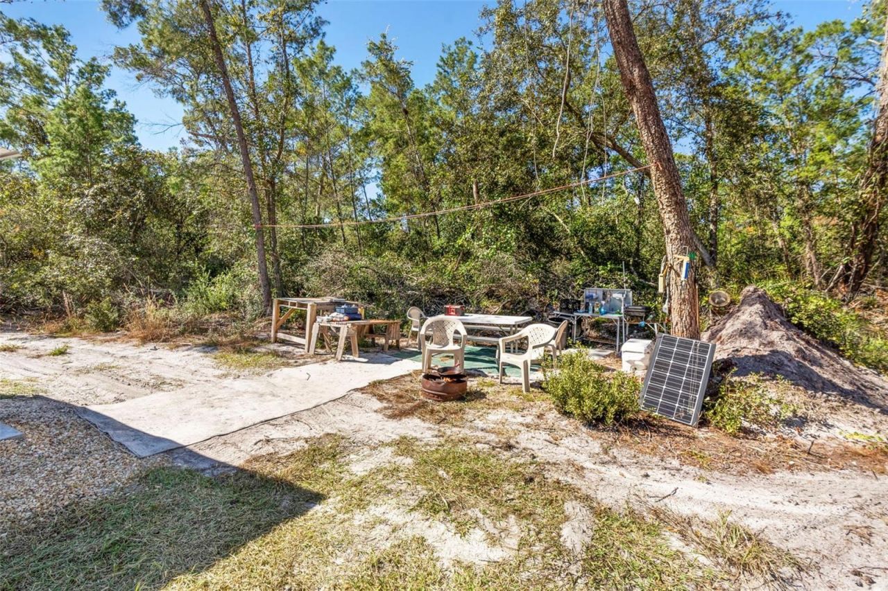 Deep Woods Road, Paisley, FL 32767 Photo