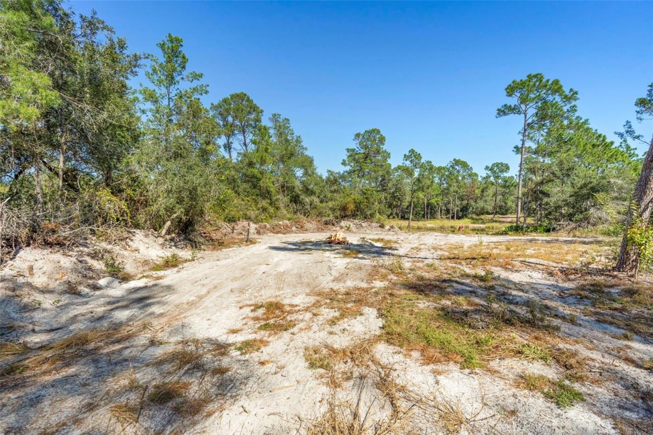 Deep Woods Road, Paisley, FL 32767 Photo