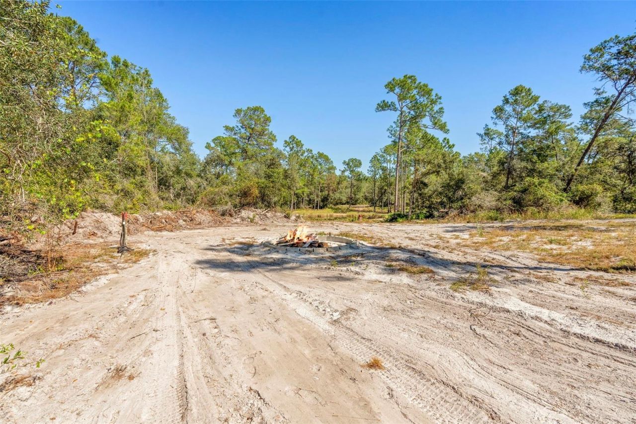 Deep Woods Road, Paisley, FL 32767 Photo
