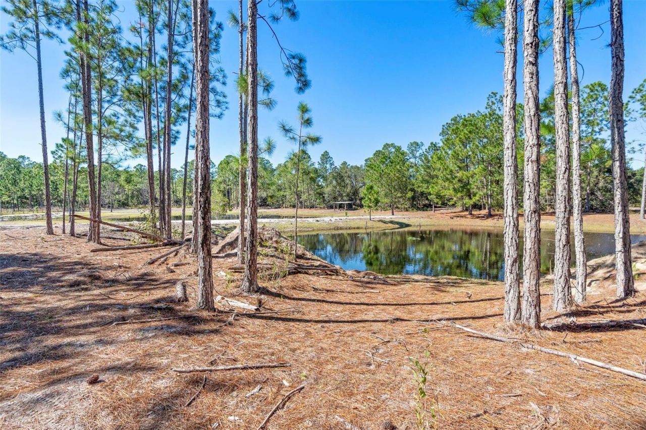Deep Woods Road, Paisley, FL 32767 Photo