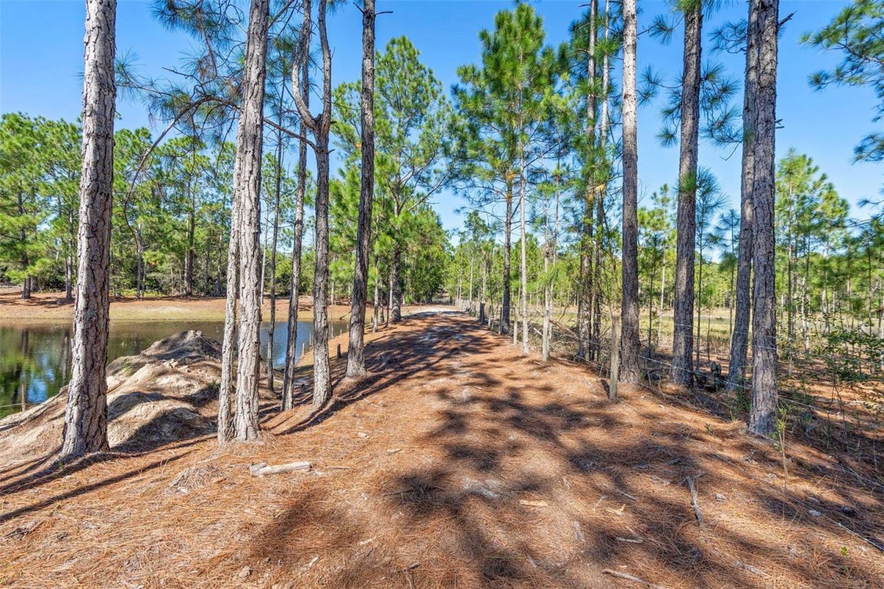 Deep Woods Road, Paisley, FL 32767 Photo