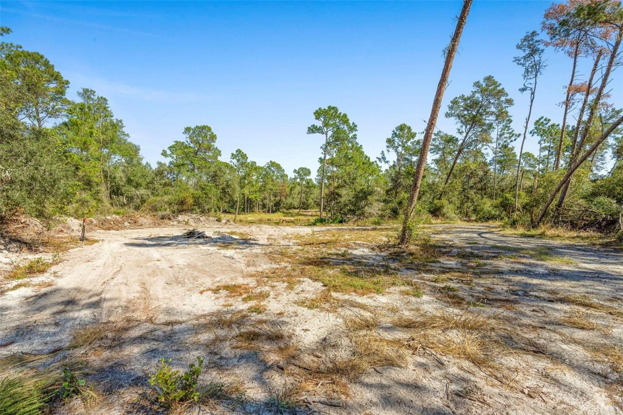 Deep Woods Road, Paisley, FL 32767 Photo