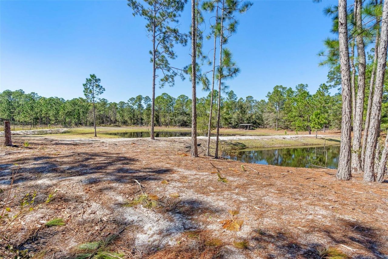 Deep Woods Road, Paisley, FL 32767 Photo