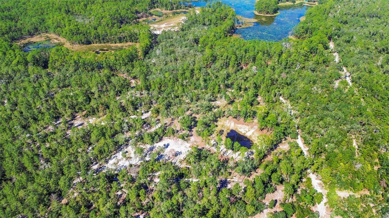 Deep Woods Road, Paisley, FL 32767 Photo