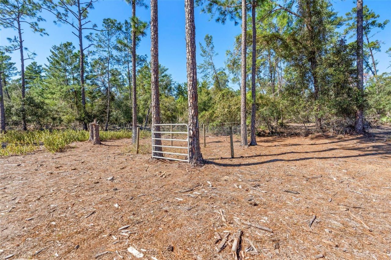 Deep Woods Road, Paisley, FL 32767 Photo