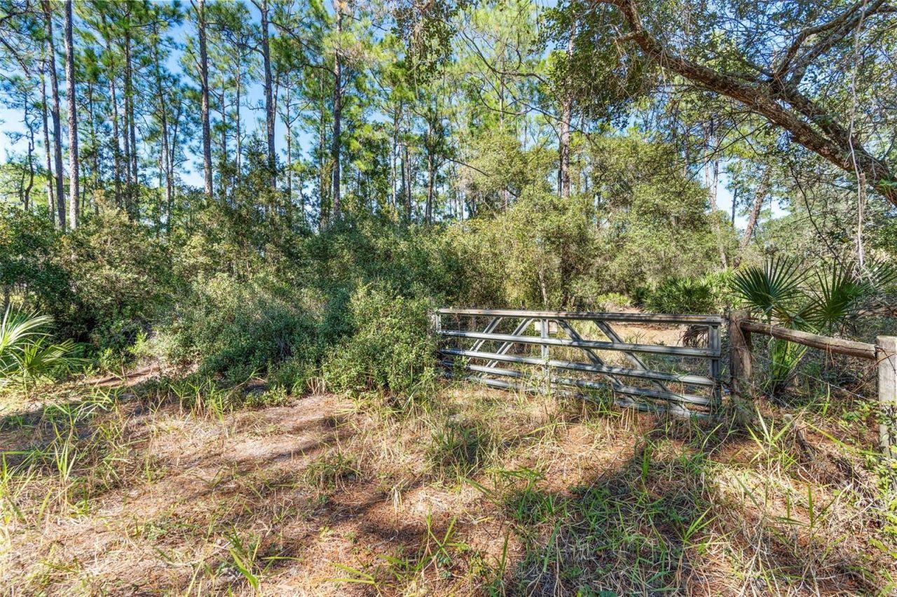 Deep Woods Road, Paisley, FL 32767 Photo