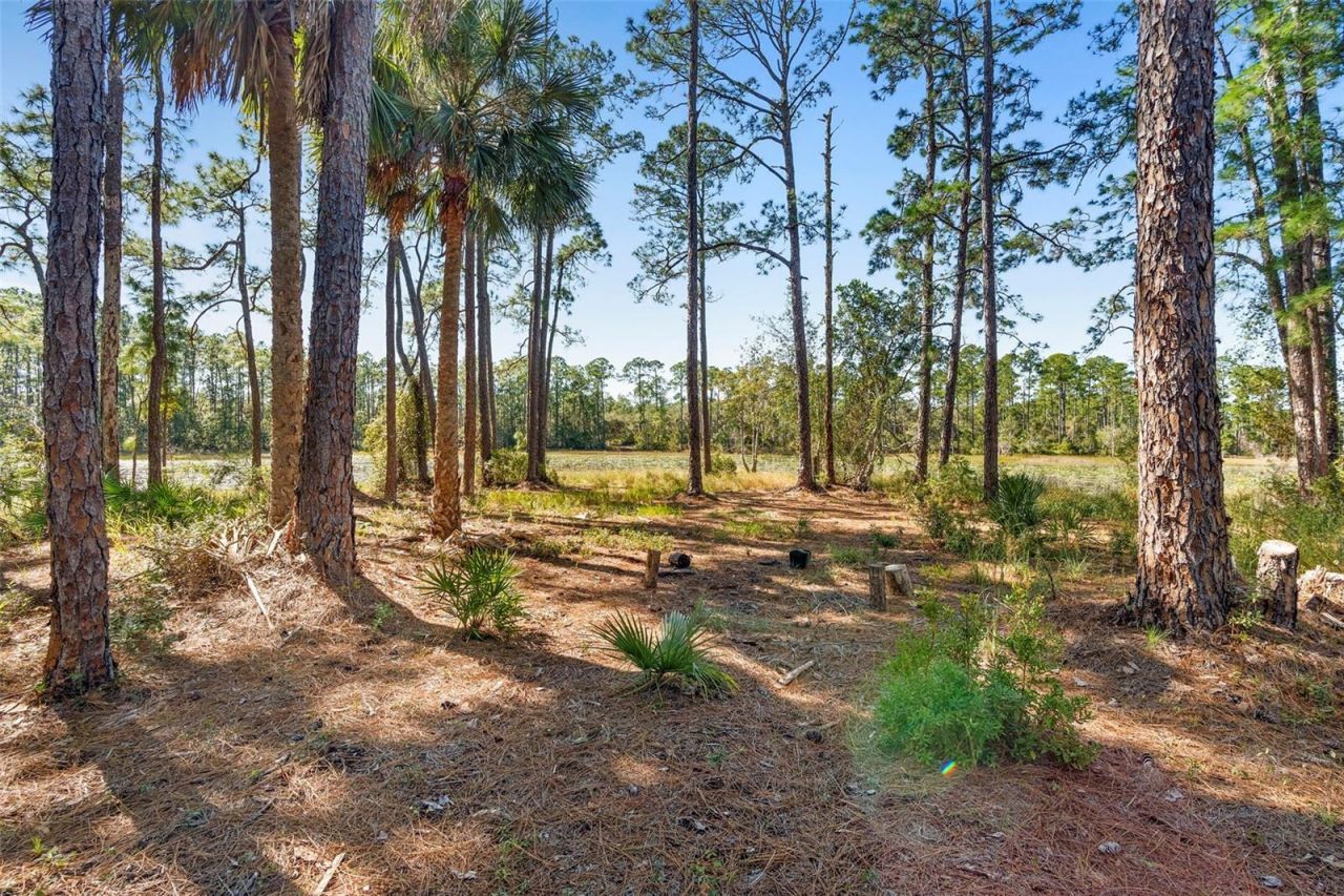 Deep Woods Road, Paisley, FL 32767 Photo