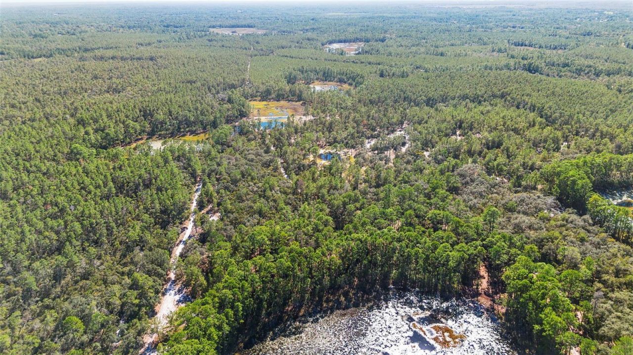 Deep Woods Road, Paisley, FL 32767 Photo