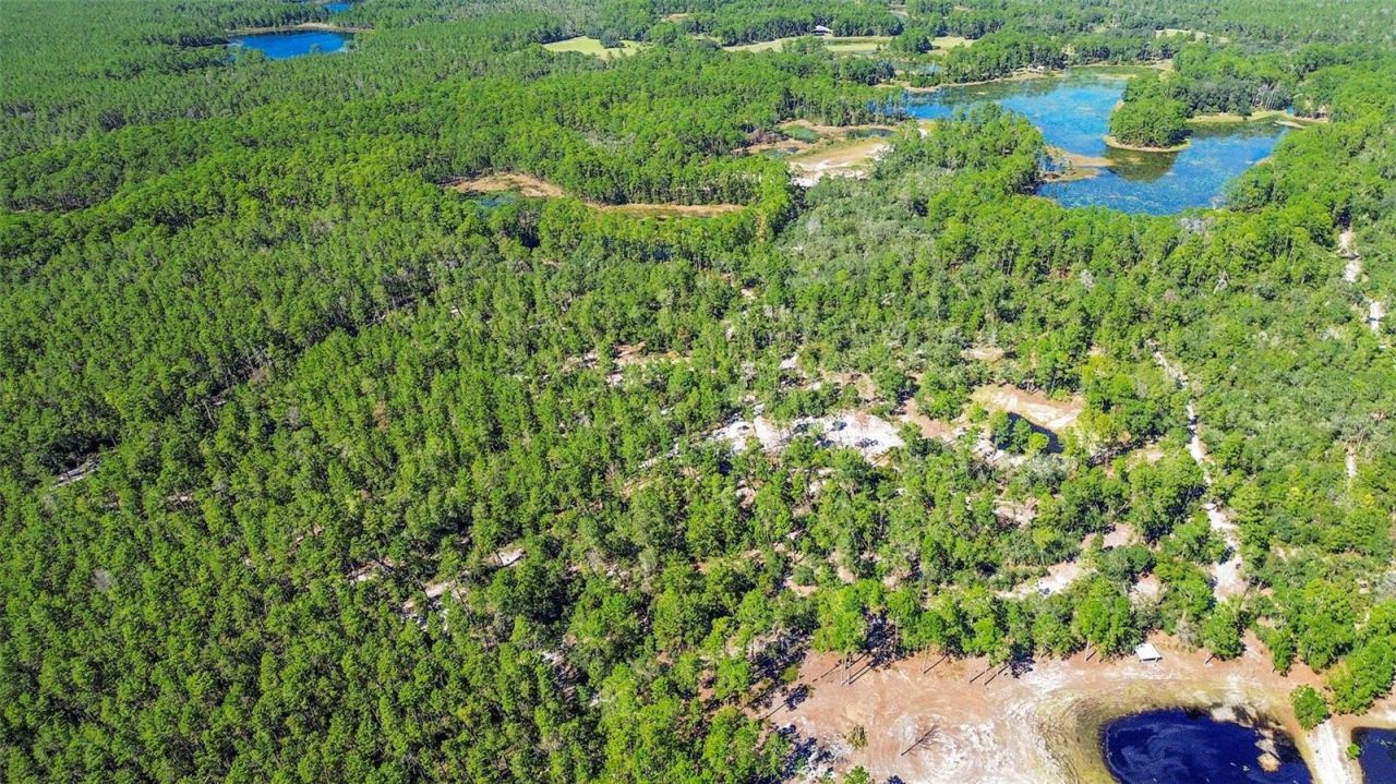 Deep Woods Road, Paisley, FL 32767 Photo