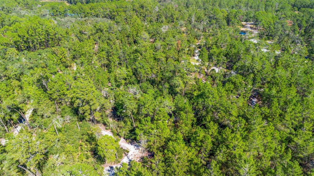 Deep Woods Road, Paisley, FL 32767 Photo