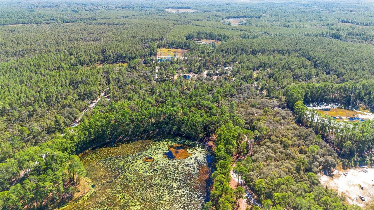 Deep Woods Road, Paisley, FL 32767 Photo