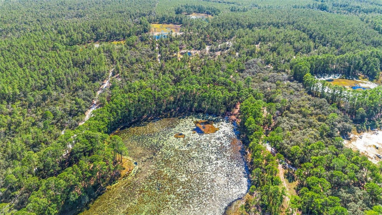 Deep Woods Road, Paisley, FL 32767 Photo