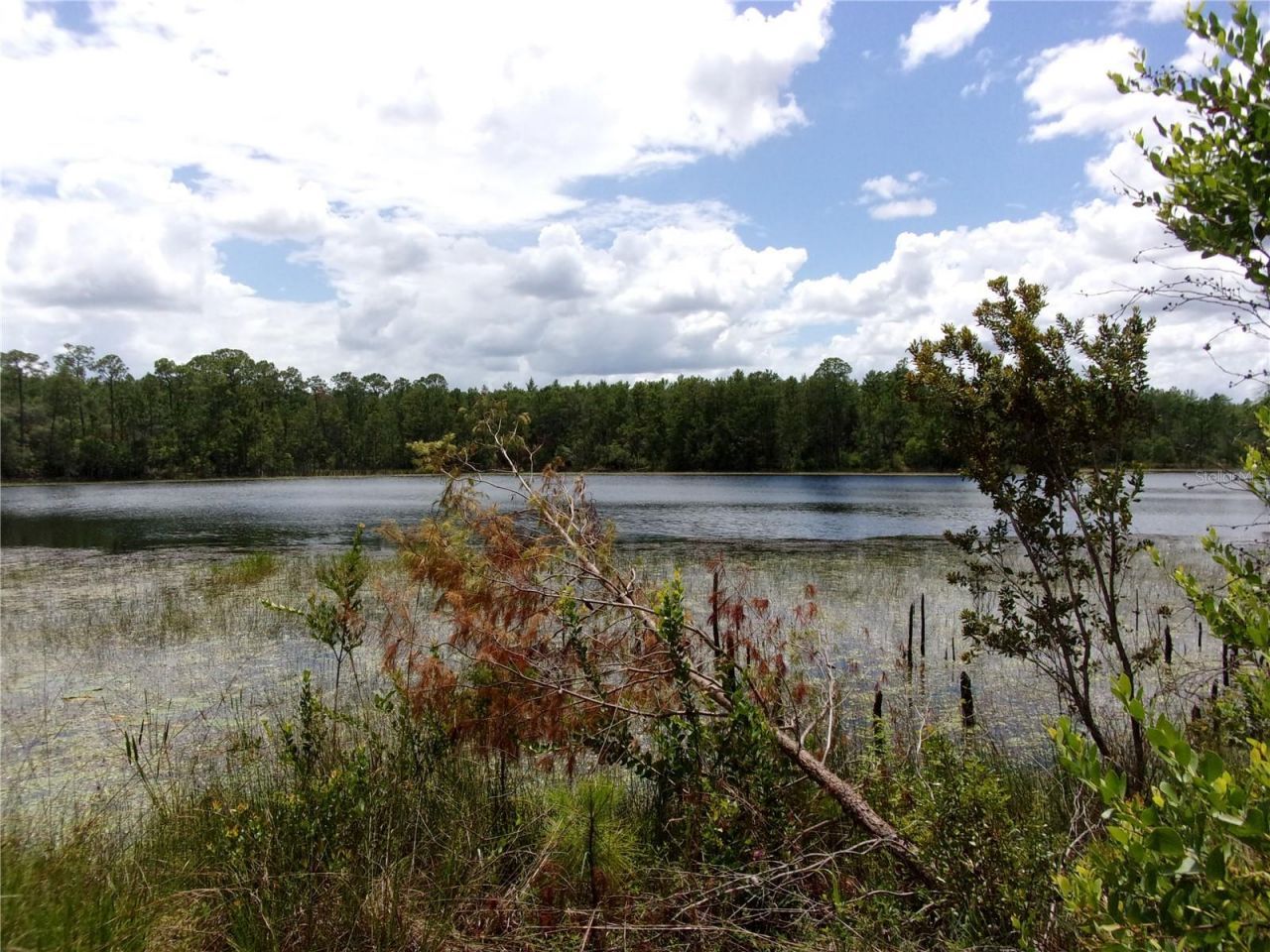 Deep Woods Road, Paisley, FL 32767 Photo