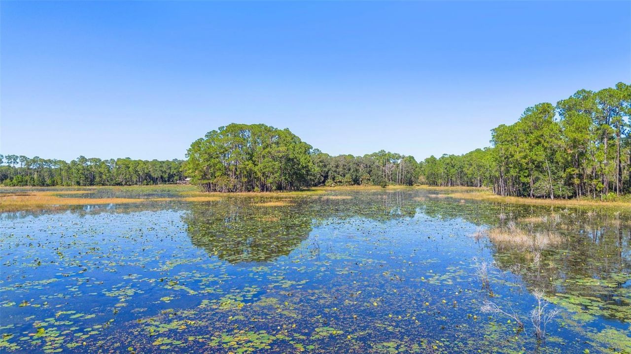 Deep Woods Road, Paisley, FL 32767 Photo