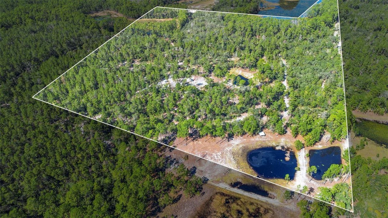 Deep Woods Road, Paisley, FL 32767 Photo