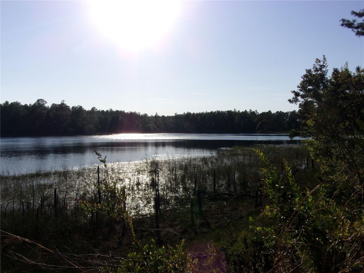 Deep Woods Road, Paisley, FL 32767 Photo