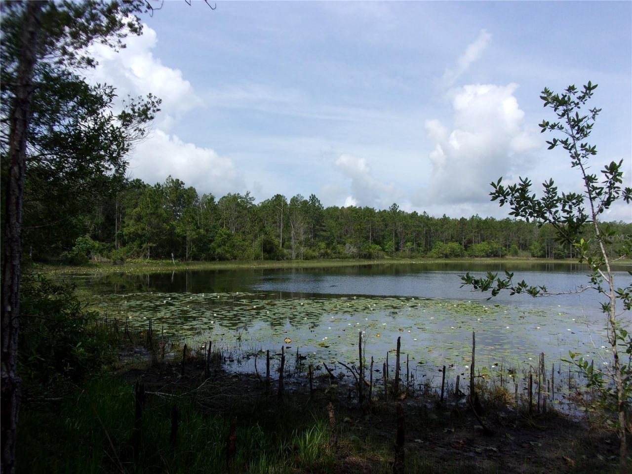 Deep Woods Road, Paisley, FL 32767 Photo