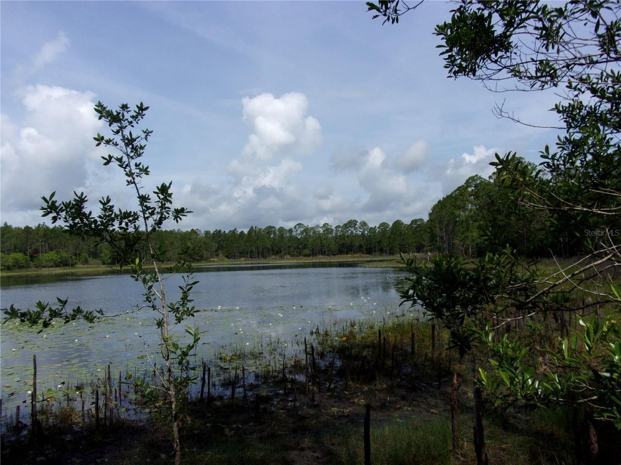 Deep Woods Road, Paisley, FL 32767 Photo