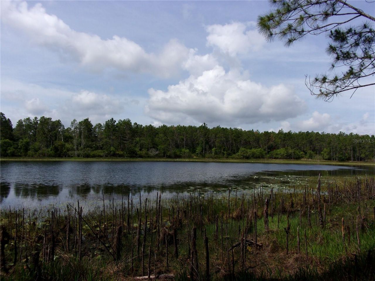 Deep Woods Road, Paisley, FL 32767 Photo