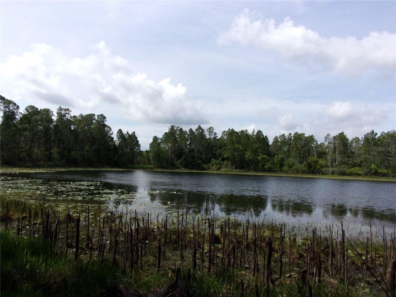 Deep Woods Road, Paisley, FL 32767 Photo