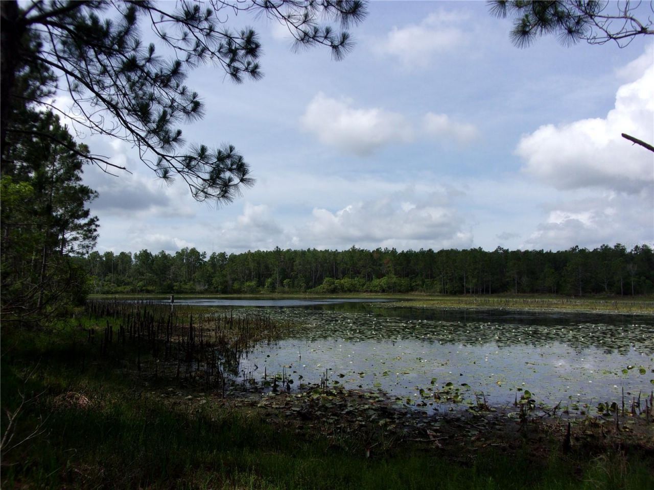 Deep Woods Road, Paisley, FL 32767 Photo