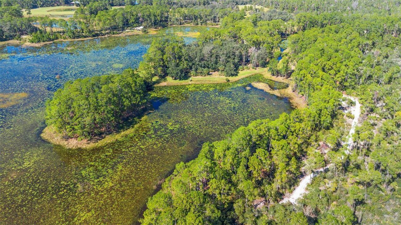 Deep Woods Road, Paisley, FL 32767 Photo