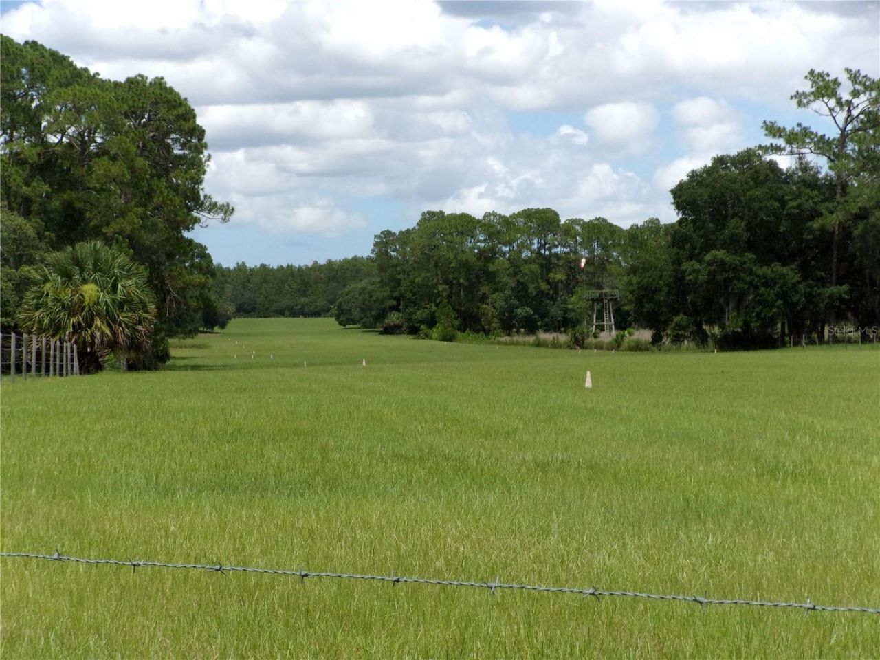 Deep Woods Road, Paisley, FL 32767 Photo