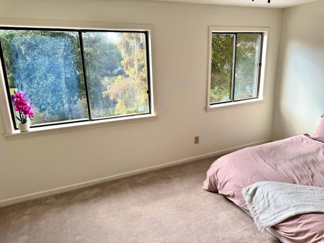 31 Battery White Ct. Photo 10