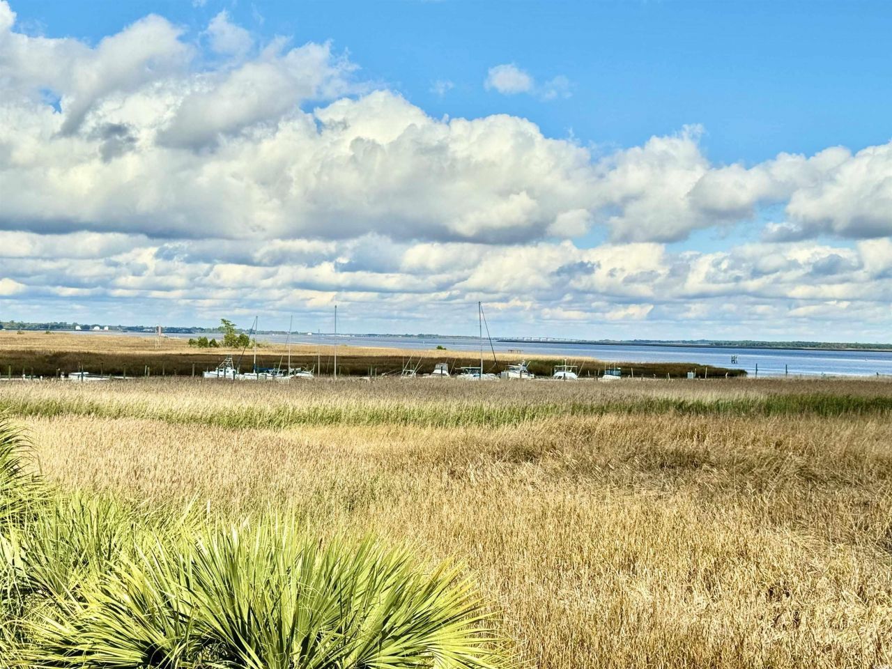 31 Battery White Ct. Photo 19