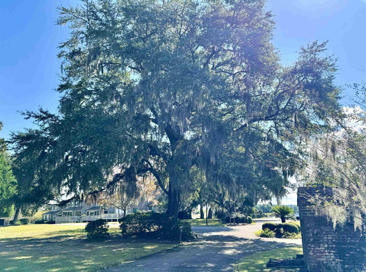 31 Battery White Ct. Photo 28