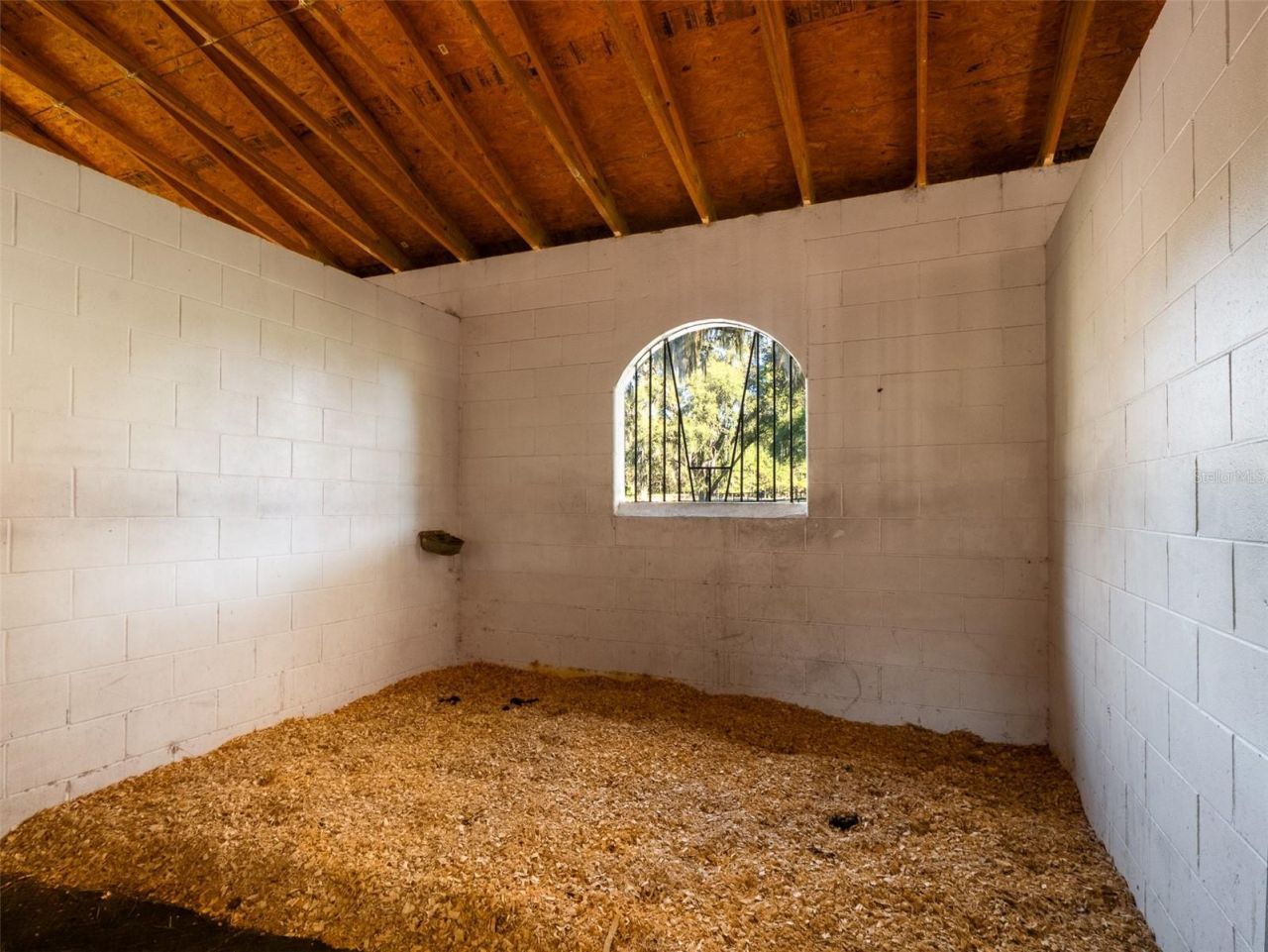 13010 NW 90th Avenue, Reddick, FL 32686 Photo