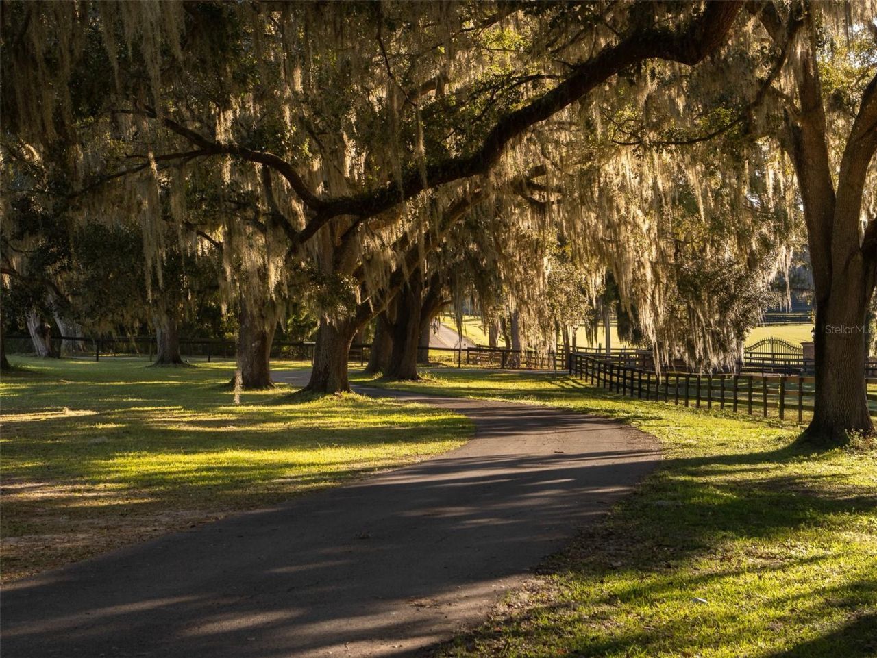 13010 NW 90th Avenue, Reddick, FL 32686 Photo