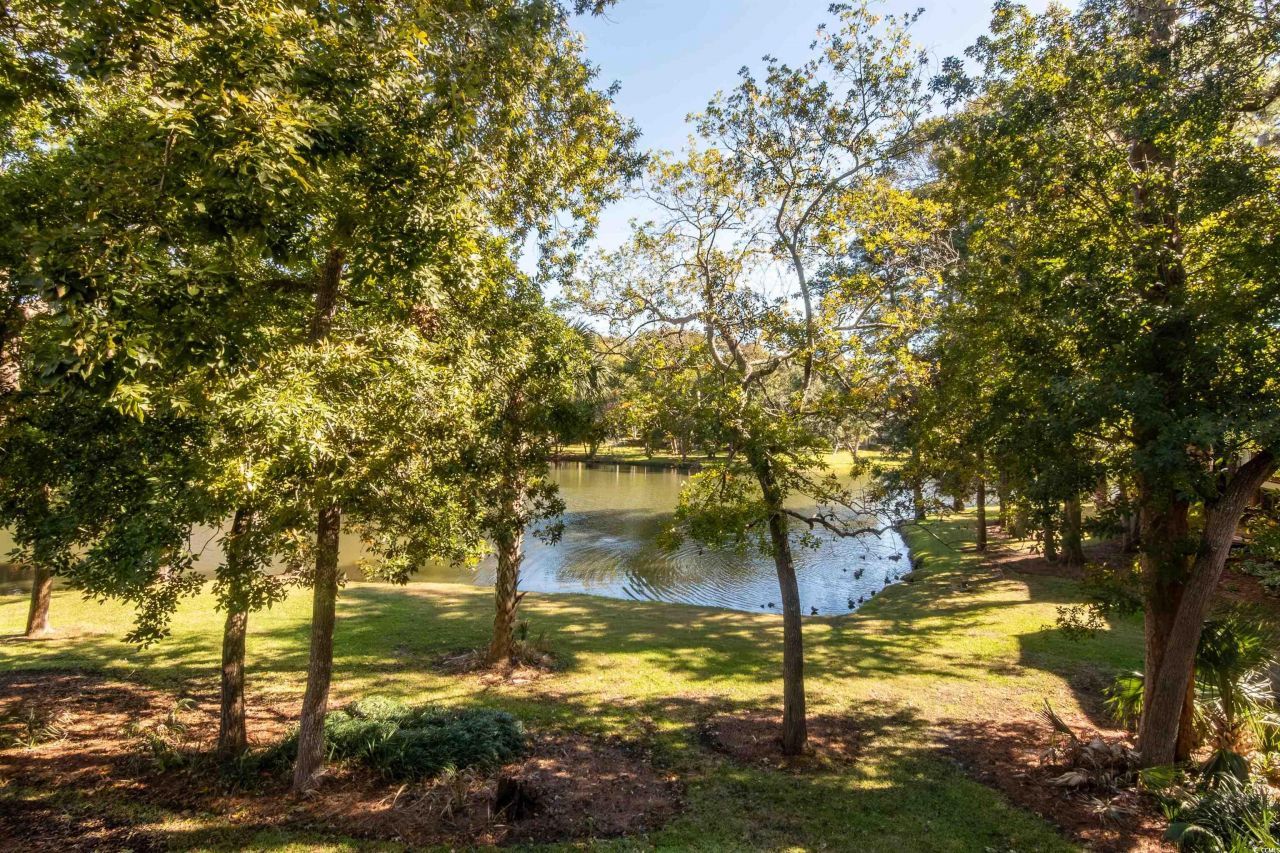 175 Saint Clears Way Photo 33