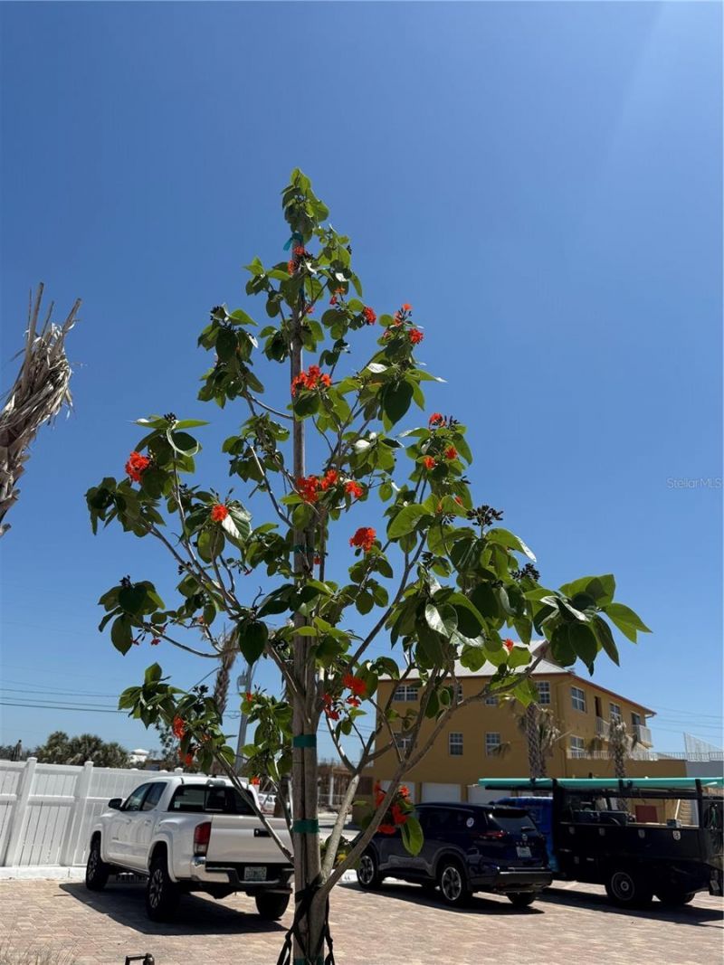 2532 Estero Boulevard, Unit 607, Fort Myers Beach, FL 33931 Photo