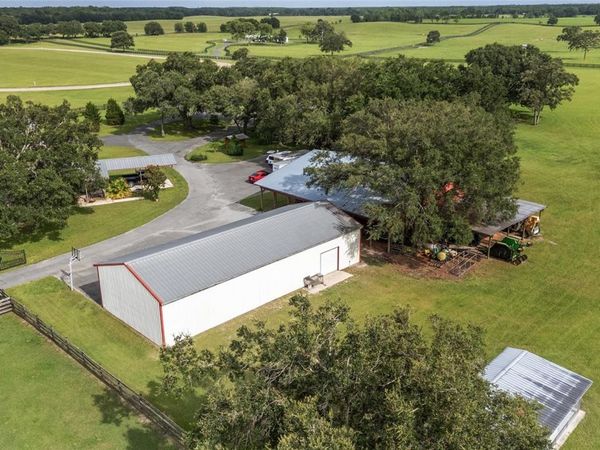 18800 SE 47TH PLACE, MORRISTON, FL 32668